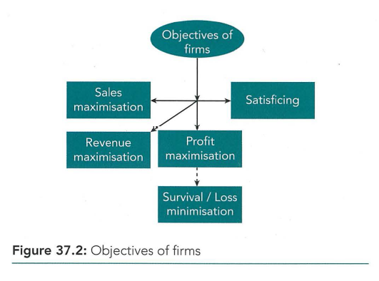 Figure 37.2: Objectives of firms